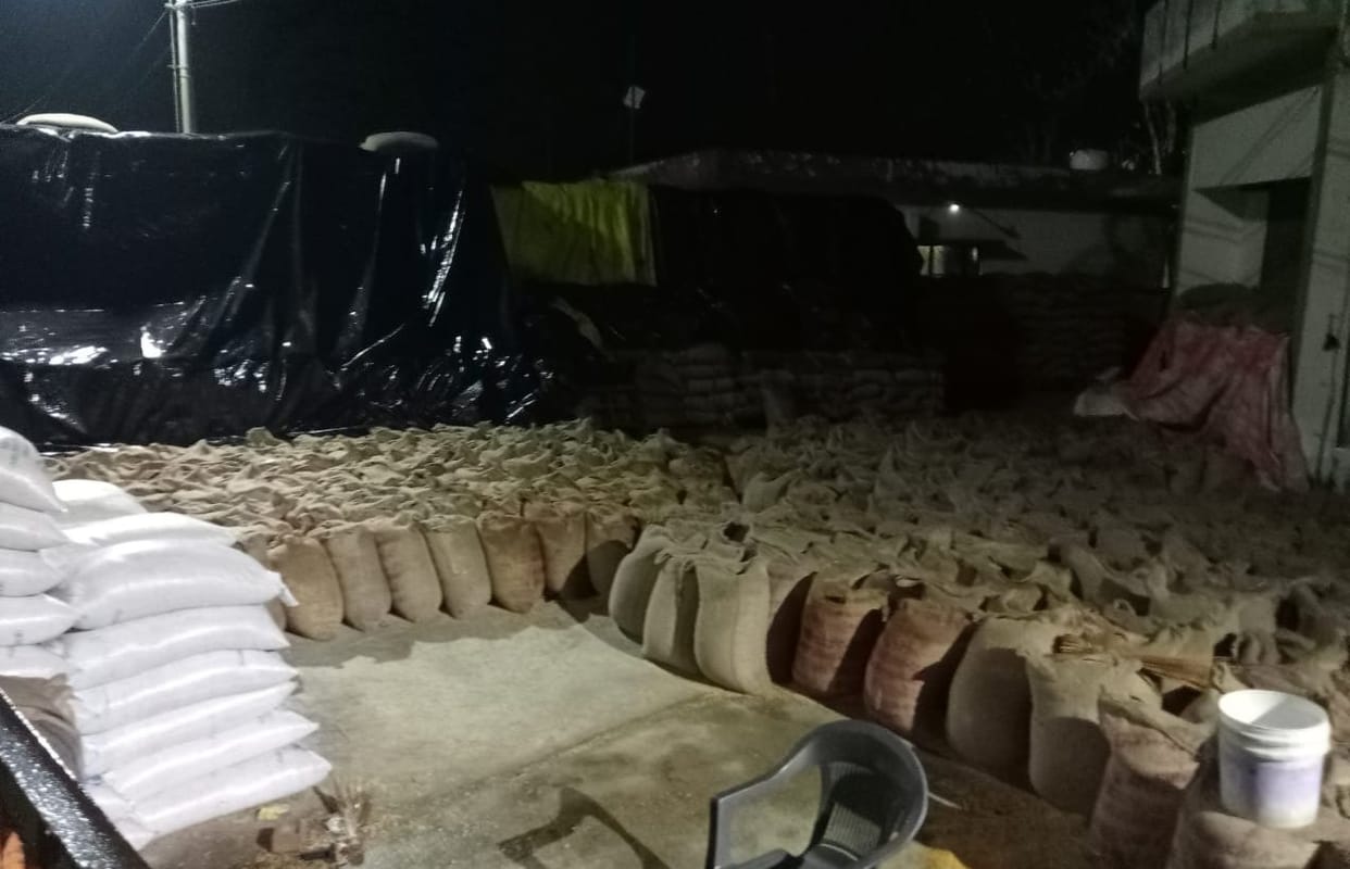 Tarpaulin was insufficient, wheat got soaked in the rain