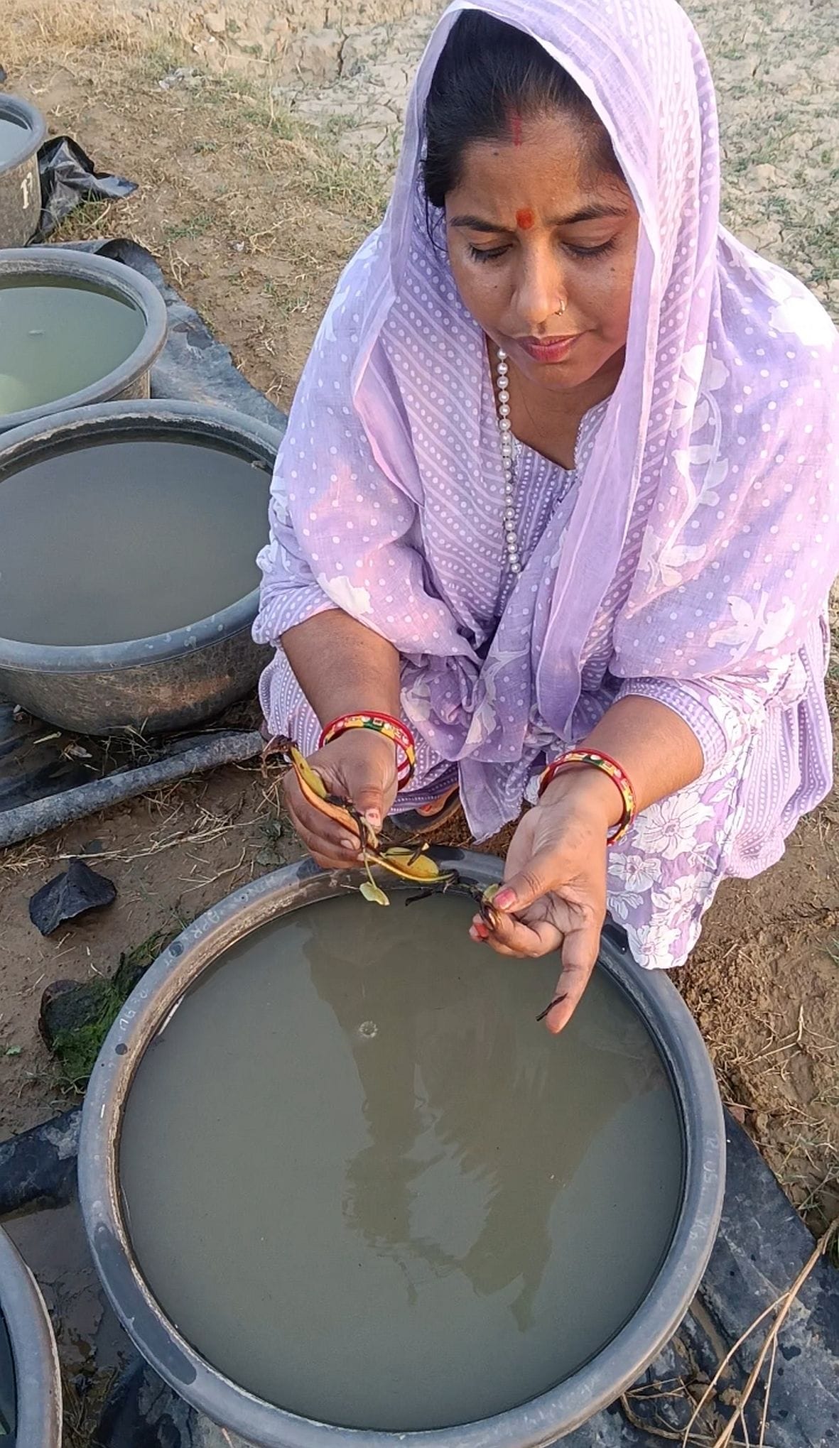 Seed business changed Aradhana's life