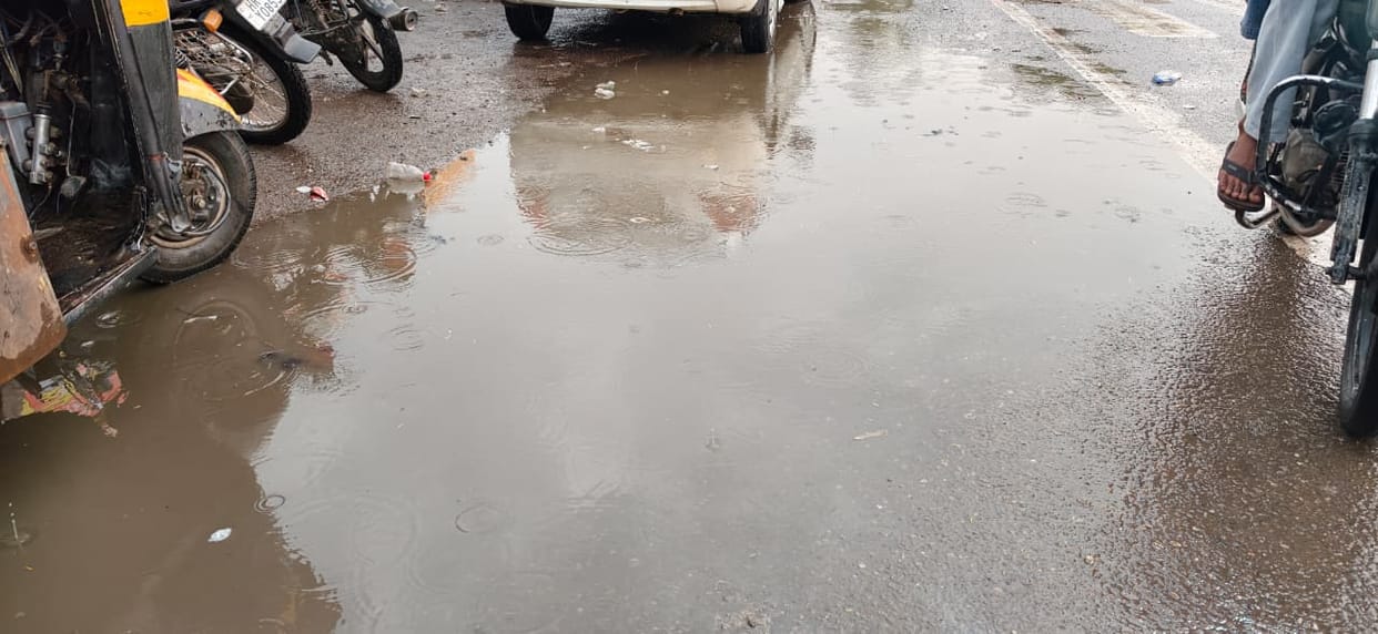 Rainfall has changed the weather, proving beneficial for sunflower, maize, sugarcane and fodder crops.