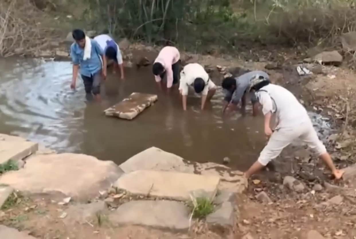 200 saucer-shaped pits created in tiger reserve, monitored through geo-tagging