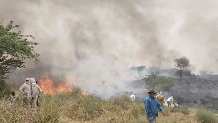 The forest of Himayupur Idhaun burned to ashes, 50 bighas of greenery