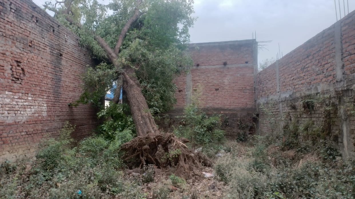 10-Year Record Broken in April; 9.6 mm of Rainfall Recorded