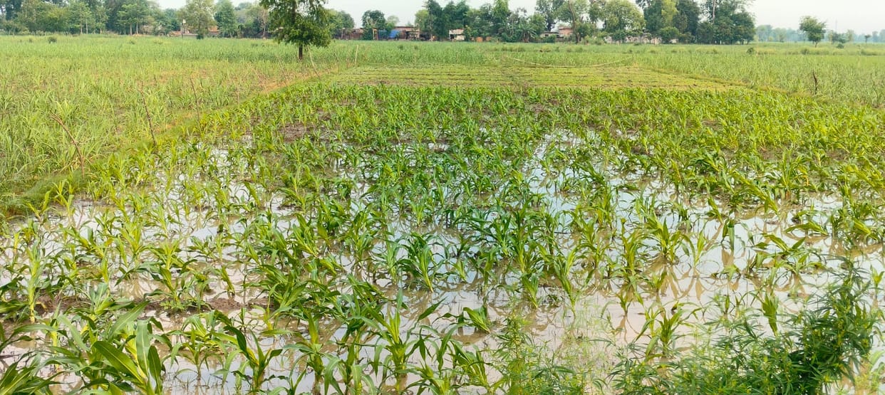 Rain takes away the heat, mercury drops by eight degrees