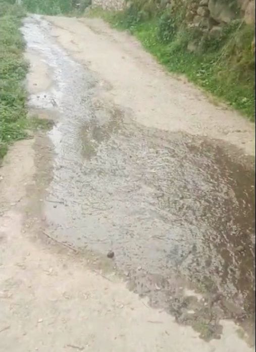 Sewerage leakage is causing damage to apple orchards and homes