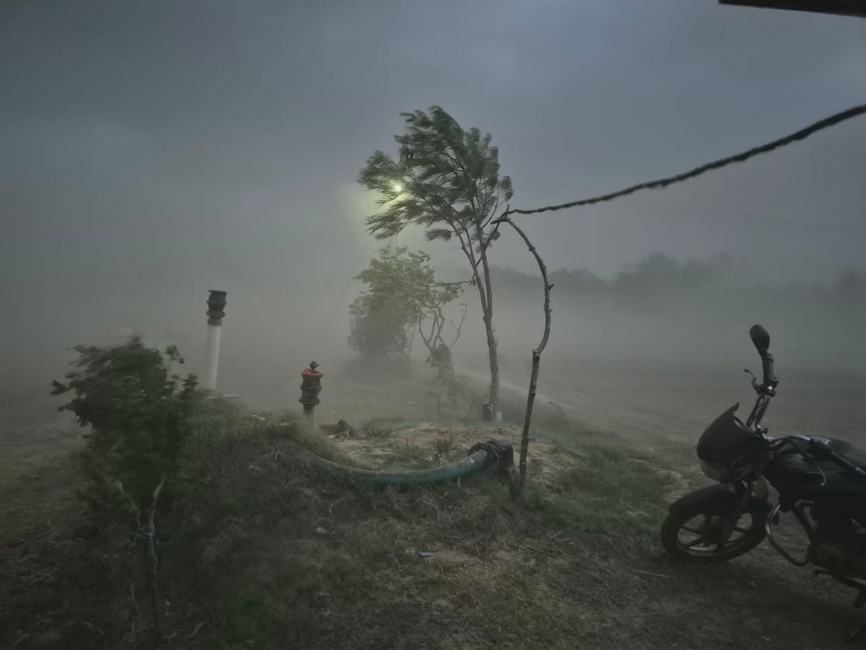 Trees Uprooted, Poles Toppled by Storm and Rain; Public Life Thrown into Chaos