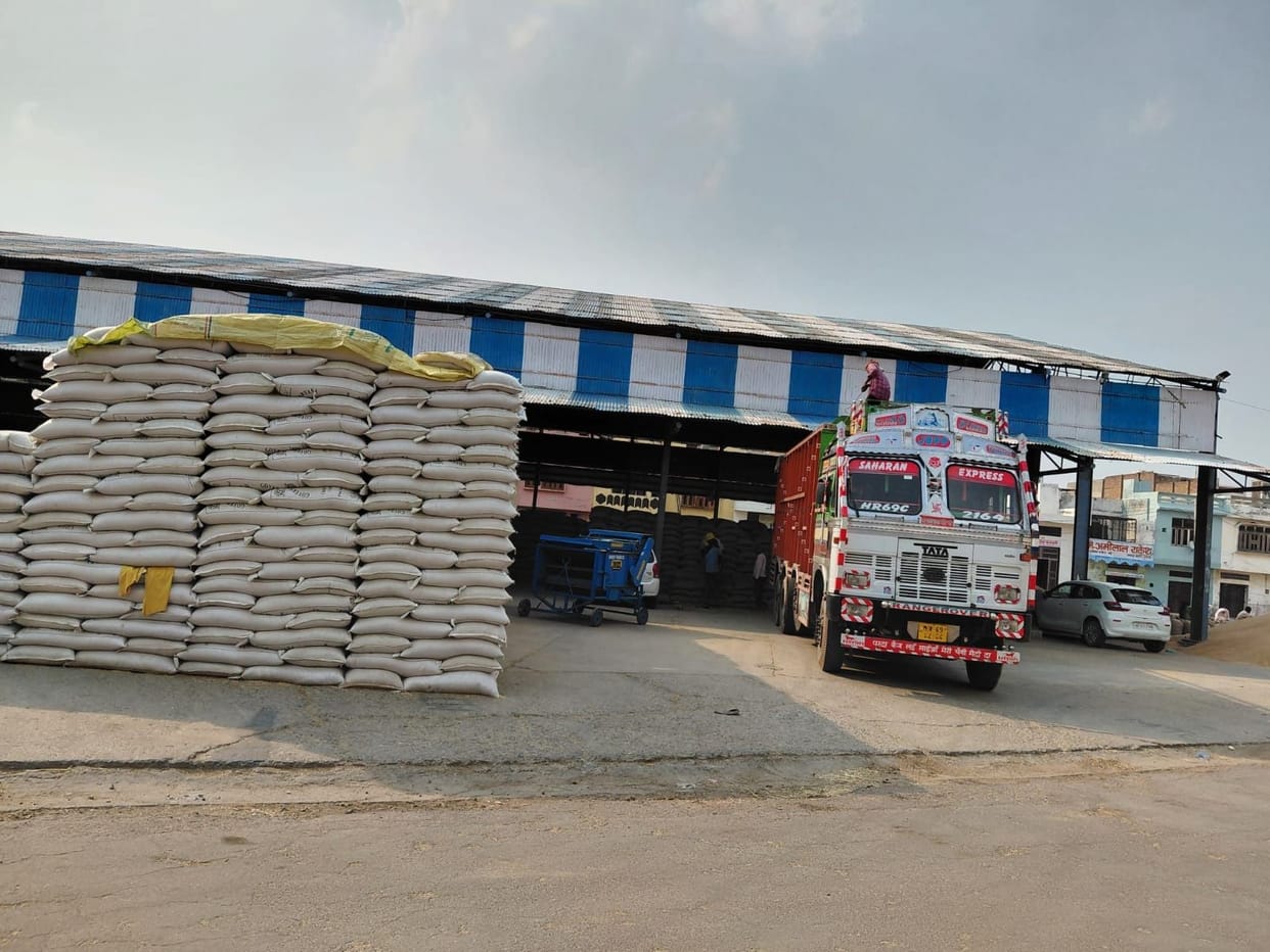 49 Percent of Wheat Lifted in Uchana