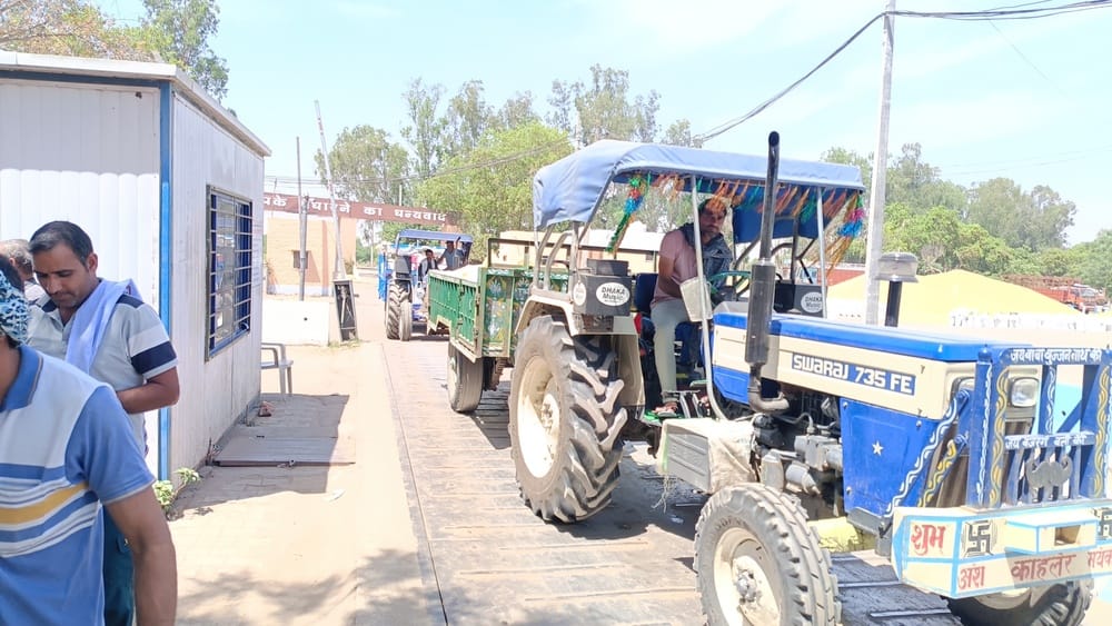 Mustard procurement season ends, government procurement of 1.02 lakh quintals done in the district