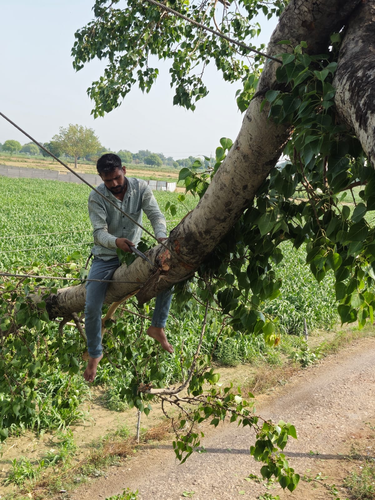 150 Villages Left in Darkness All Night Due to Power Outage Caused by Storm and Rain