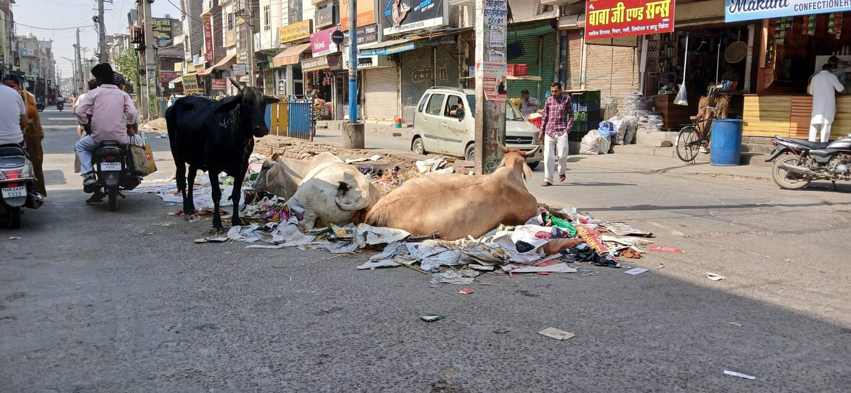 go sewa aayog will catch animals