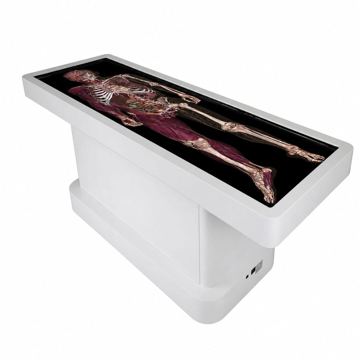 Medical college students will understand the structure of the human body through virtual corpse.