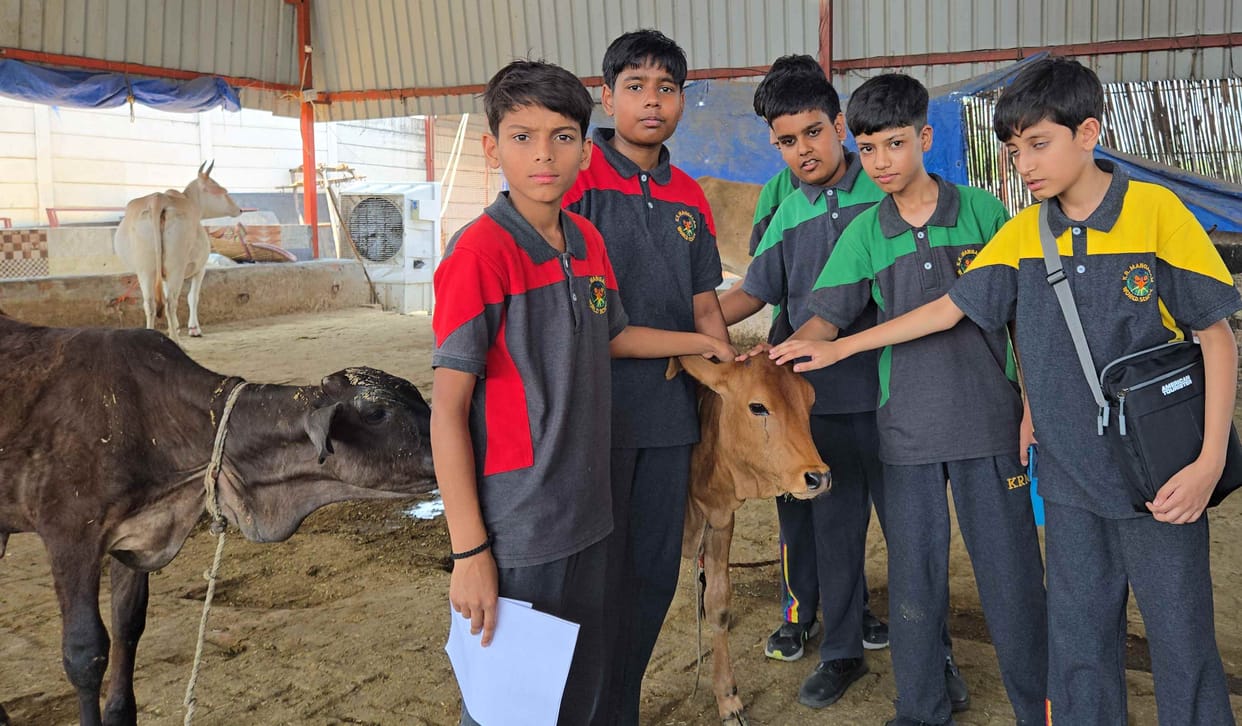 Students learned to serve animals.