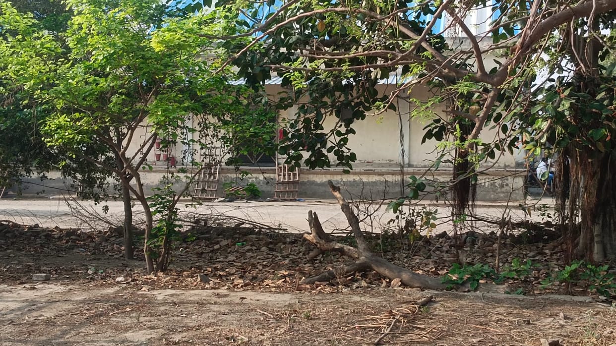 The wall of the veterinary hospital collapsed in the storm, a major accident was averted.