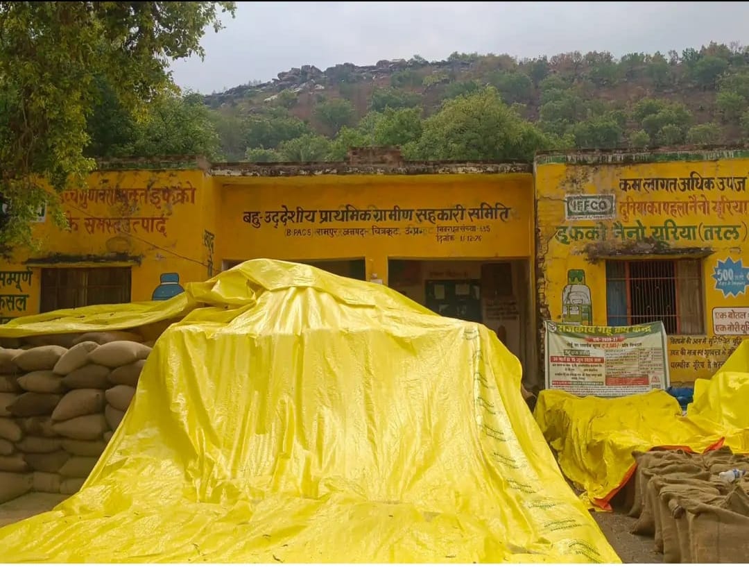 Wheat is getting wet at the purchasing centers due to rain, work is being carried out by putting foil.