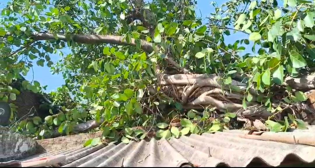 agra news storm distruction