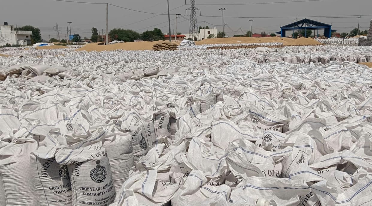 Wheat lifting slows, market is full of bags
