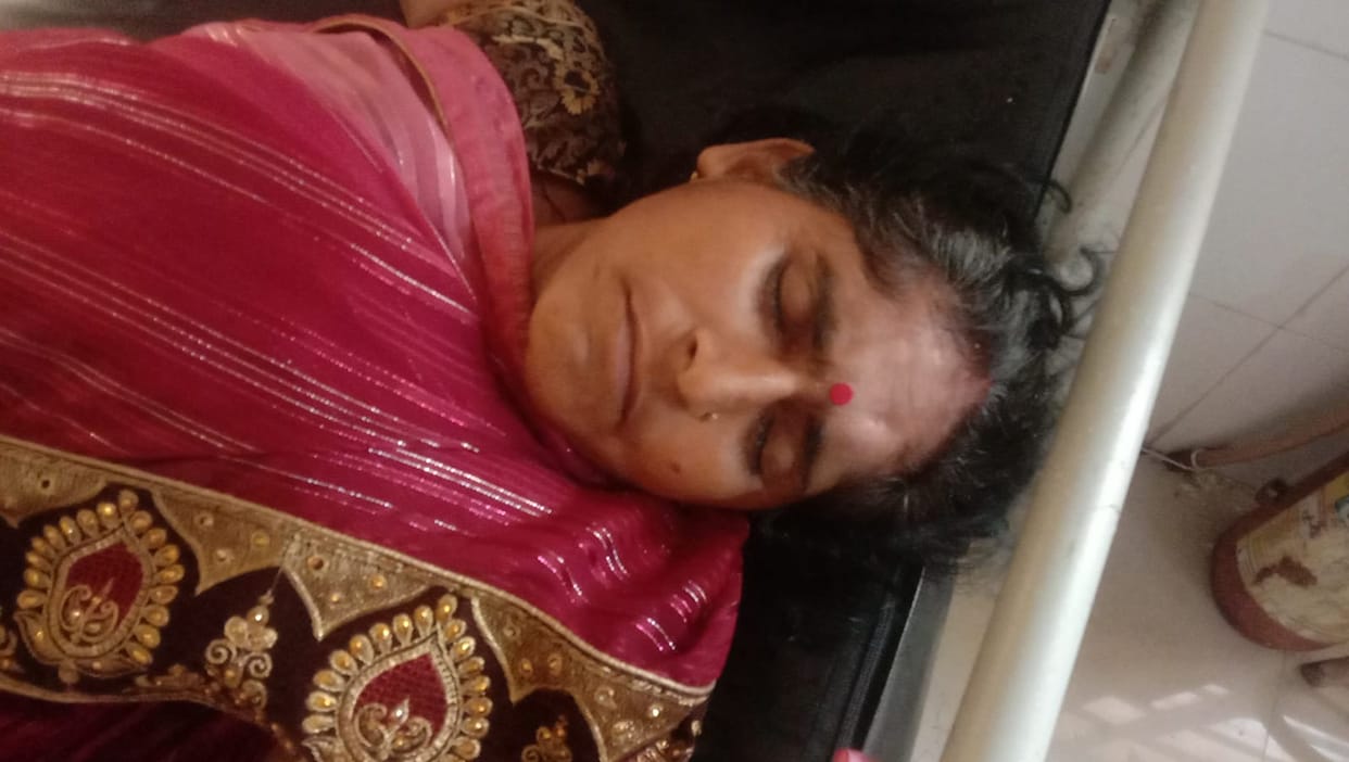 Honeybees Attack 25 Pilgrims Cooking a Meal; Two Unconscious, Eight Hospitalized