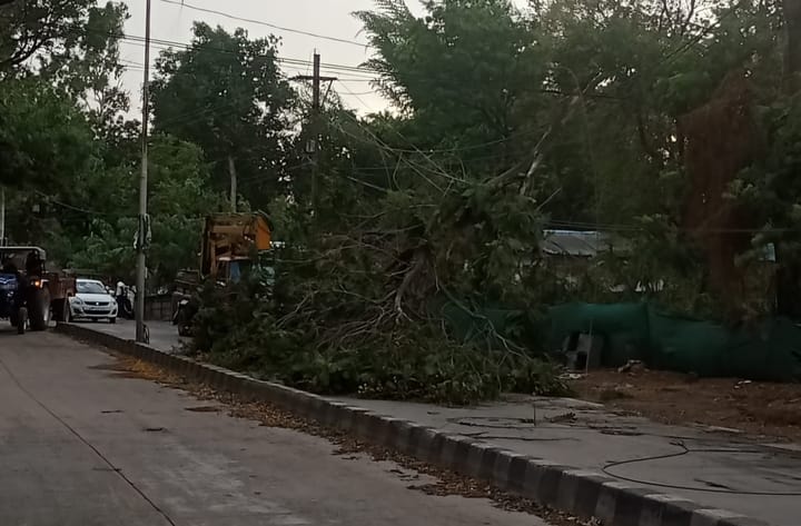 The storm caused widespread damage to tin sheds, trees fell, power supply disrupted, and crops were affected.