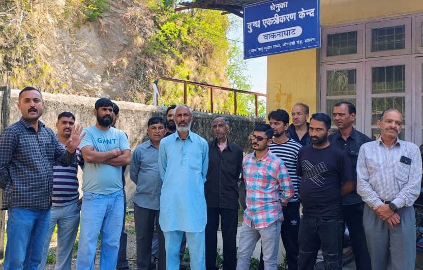 Farmers at the Dhenuka Milk Centre in Waknaghat have not received their milk payments for five months.