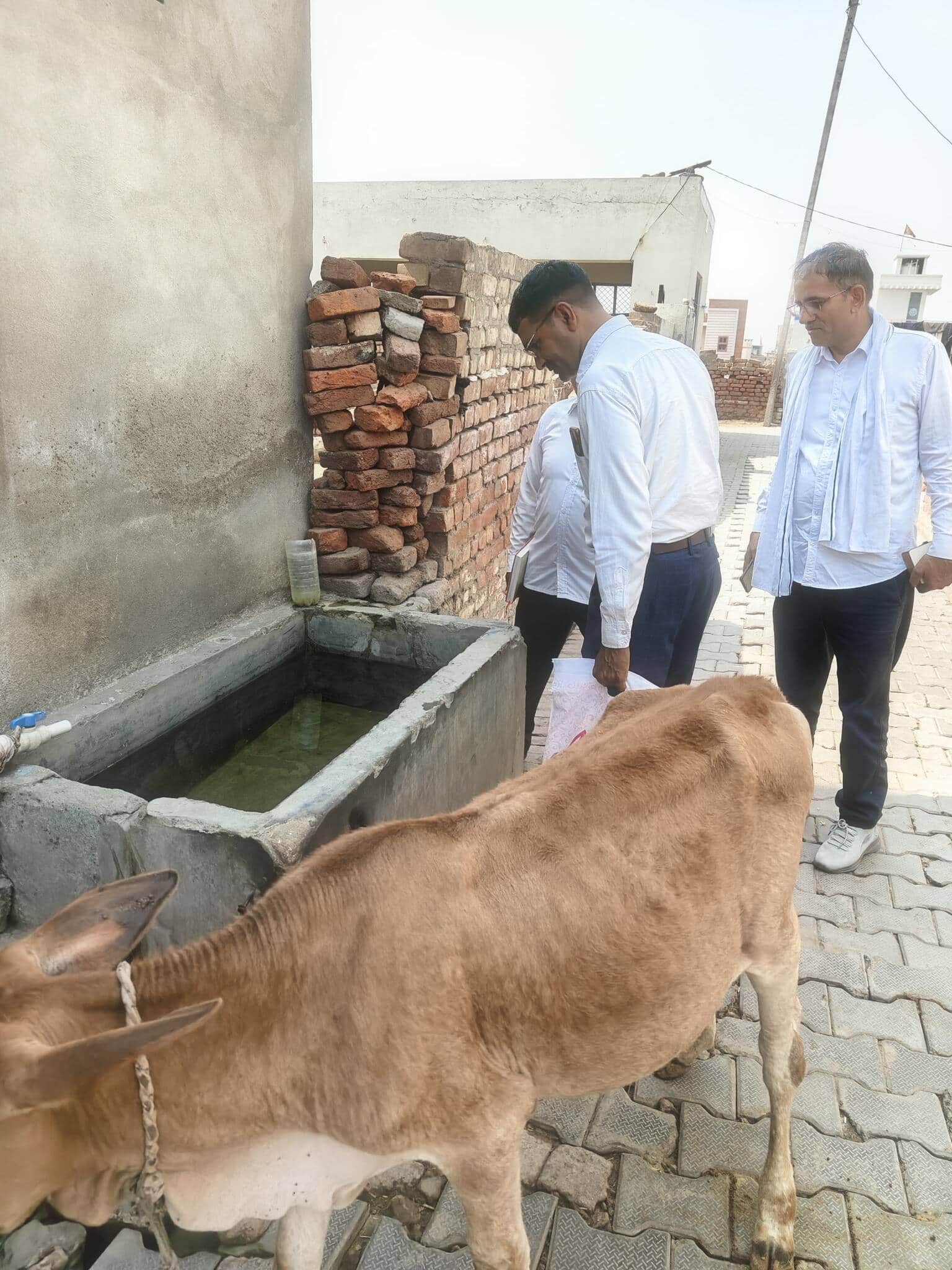 03जेएनडी15: डेंगू के लार्वा की जांच करते हुए स्वास्थ्य कर्मी। स्रोत विभाग।