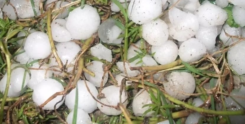 बनी में ओलावृष्टिसंवाद