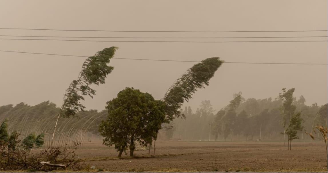 Drizzle with dust storm