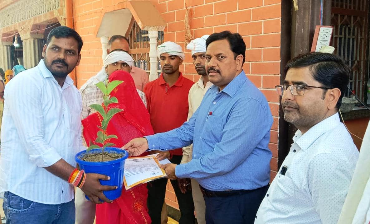 फोटो 30 मृतक की पत्नी को पौधा देते डीएम। स्रोत प्रशासन