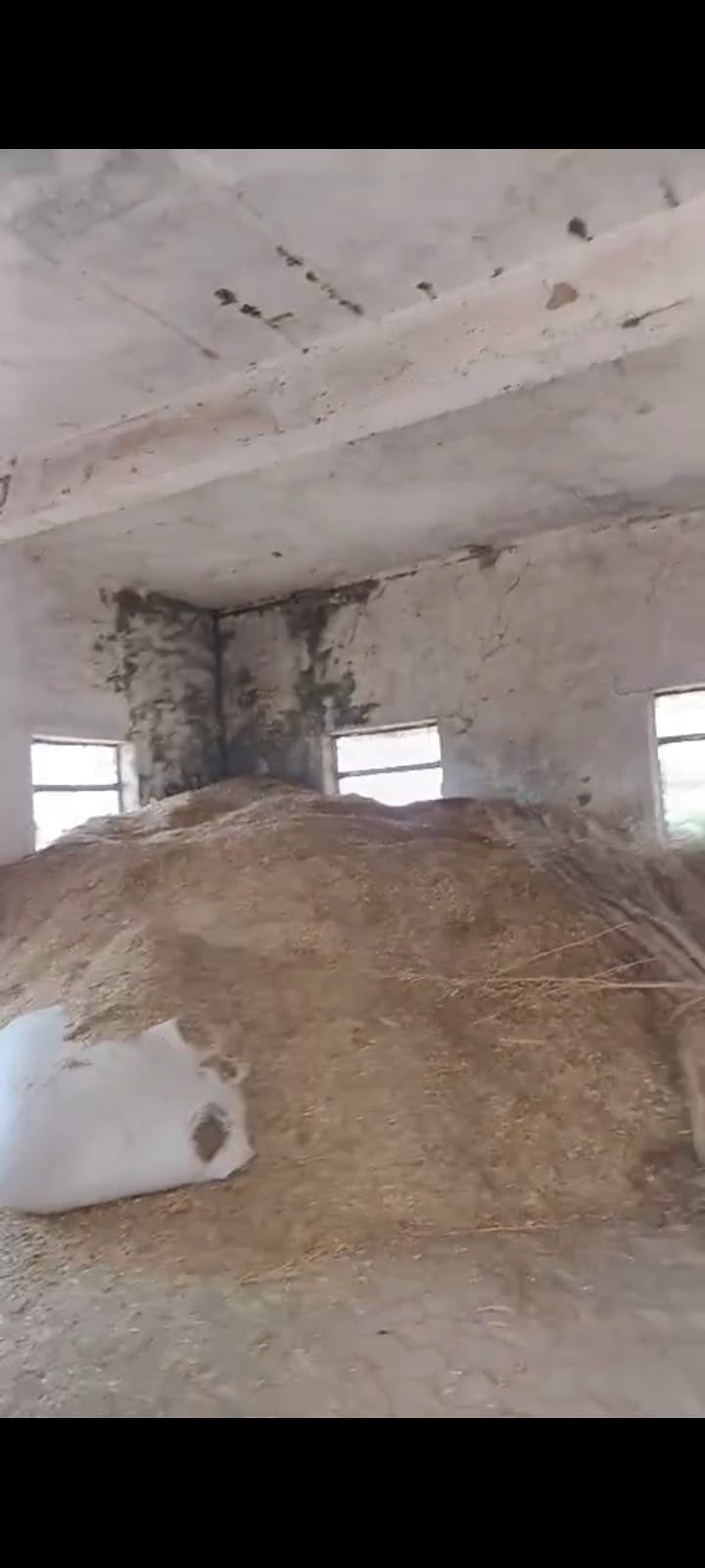 The village head filled the school with straw