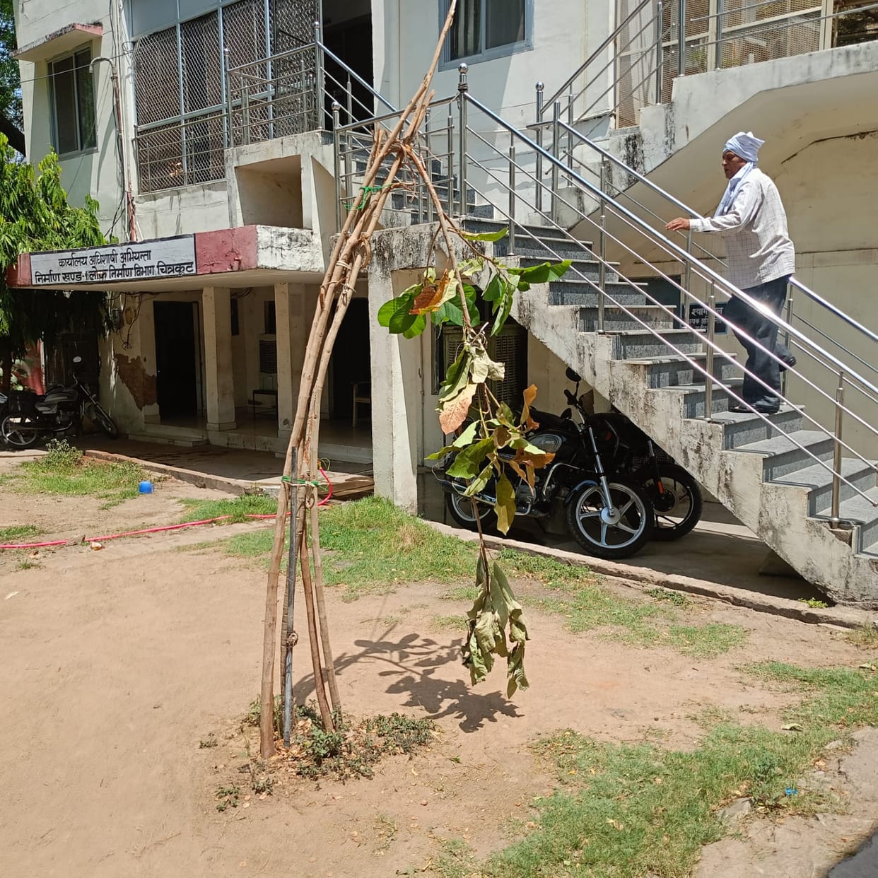 Heat wave: Millions of plants are drying up, but those responsible are unconcerned
