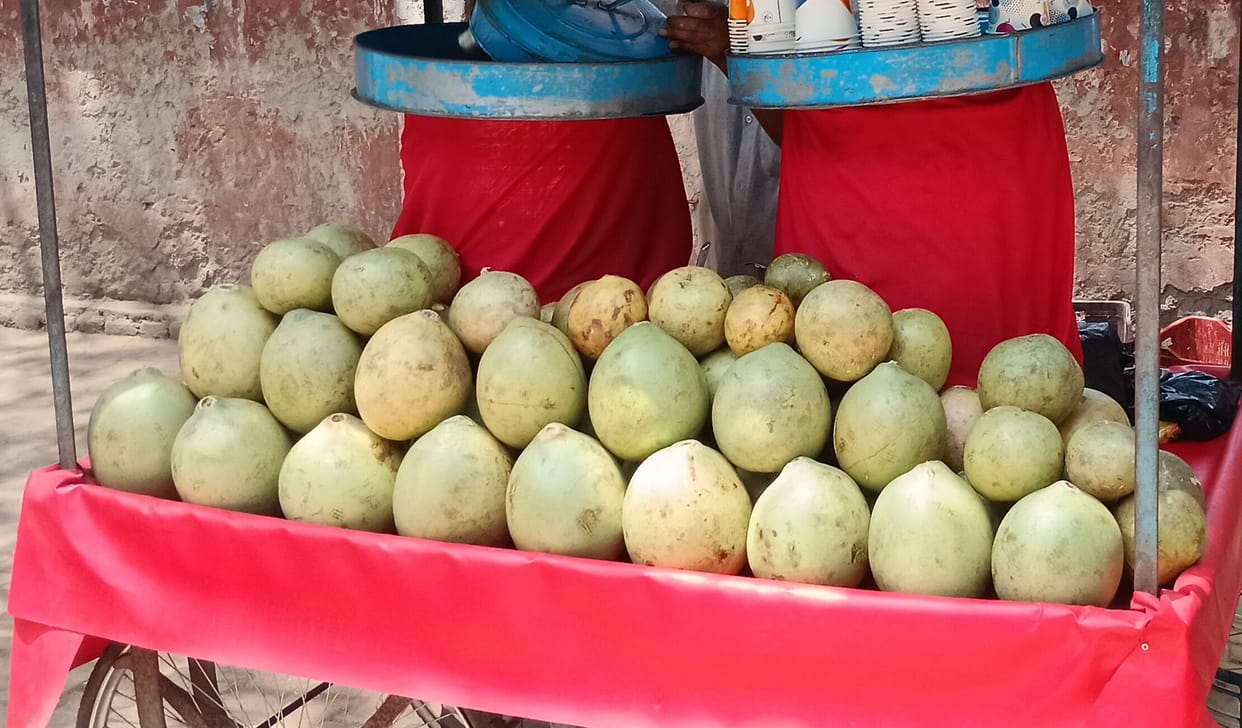Rising Demand for Bel Fruit: 10 Quintals Consumed Daily in the City
