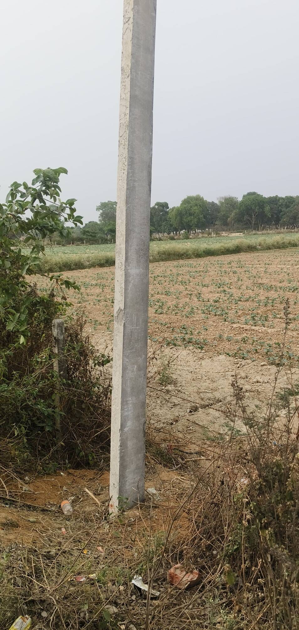 Negligence in erecting poles in Diguria, villagers fear accident