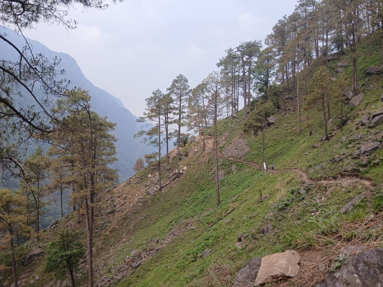 The condition of the roads and footpaths in the Madmaheshwar Valley is in a bad state
