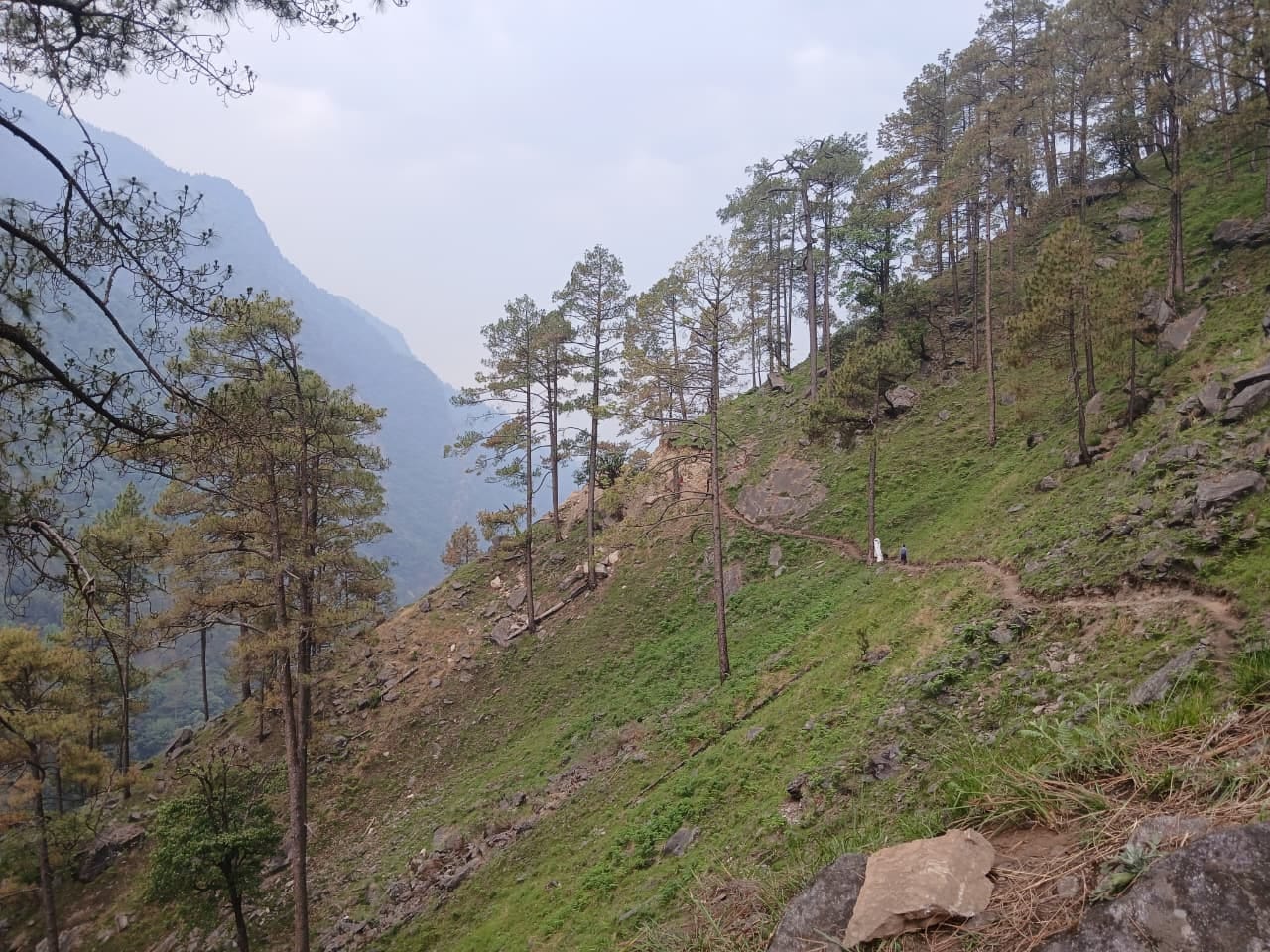 खस्ताहाल पैदल मार्ग से कर रहे गौंडार के लोग आवाजाही। स्राेत जागरूक पाठक