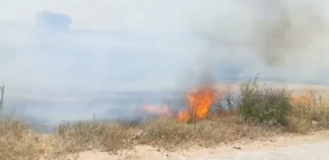 Wheat crop residue caught fire in the field