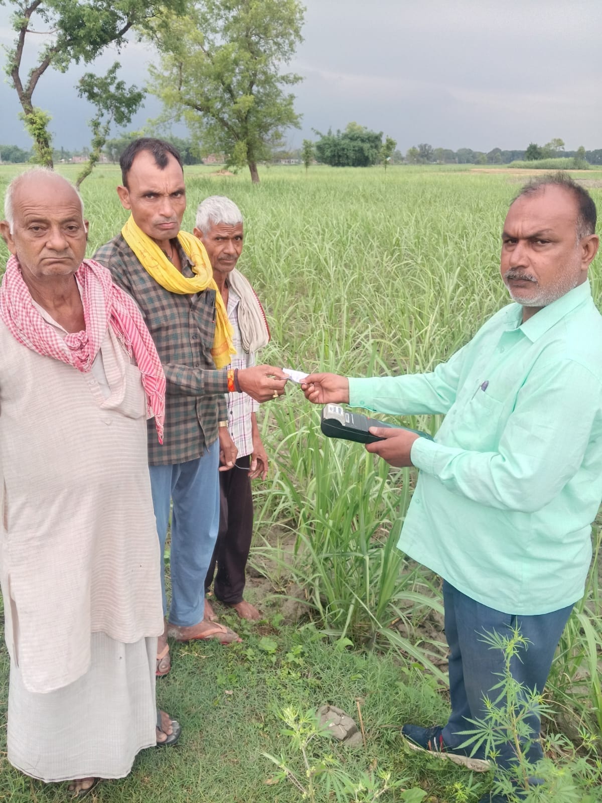 55 teams will survey the sugarcane area, verification of the stalk will be done.