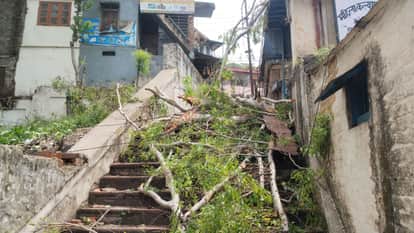 A storm in Kathed, Solan, set a transformer on fire, and a tree fell on the railway station stairs in Dharampur.
