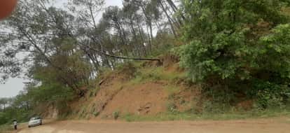 The shadow of death on the roadside... Fear of a major accident due to leaning trees in Hamirpur
