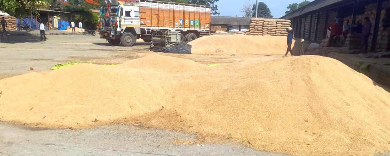 Hundreds of quintals of farmers' wheat soaked in the market due to rain.