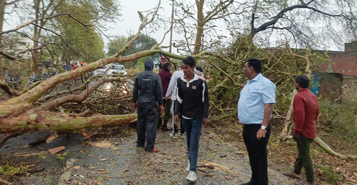 Storm and rain wreak havoc, young man dies after being crushed under a tree, darkness prevails