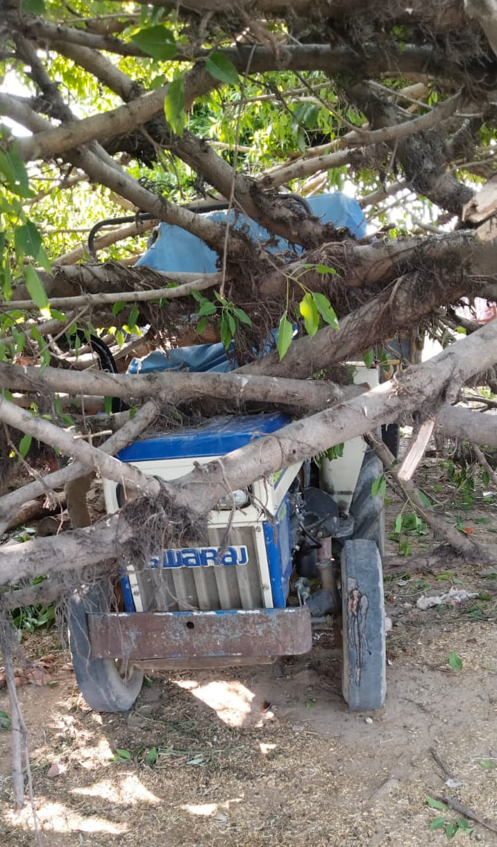 Vehicular movement remained halted throughout the day due to a tree felled by a storm.