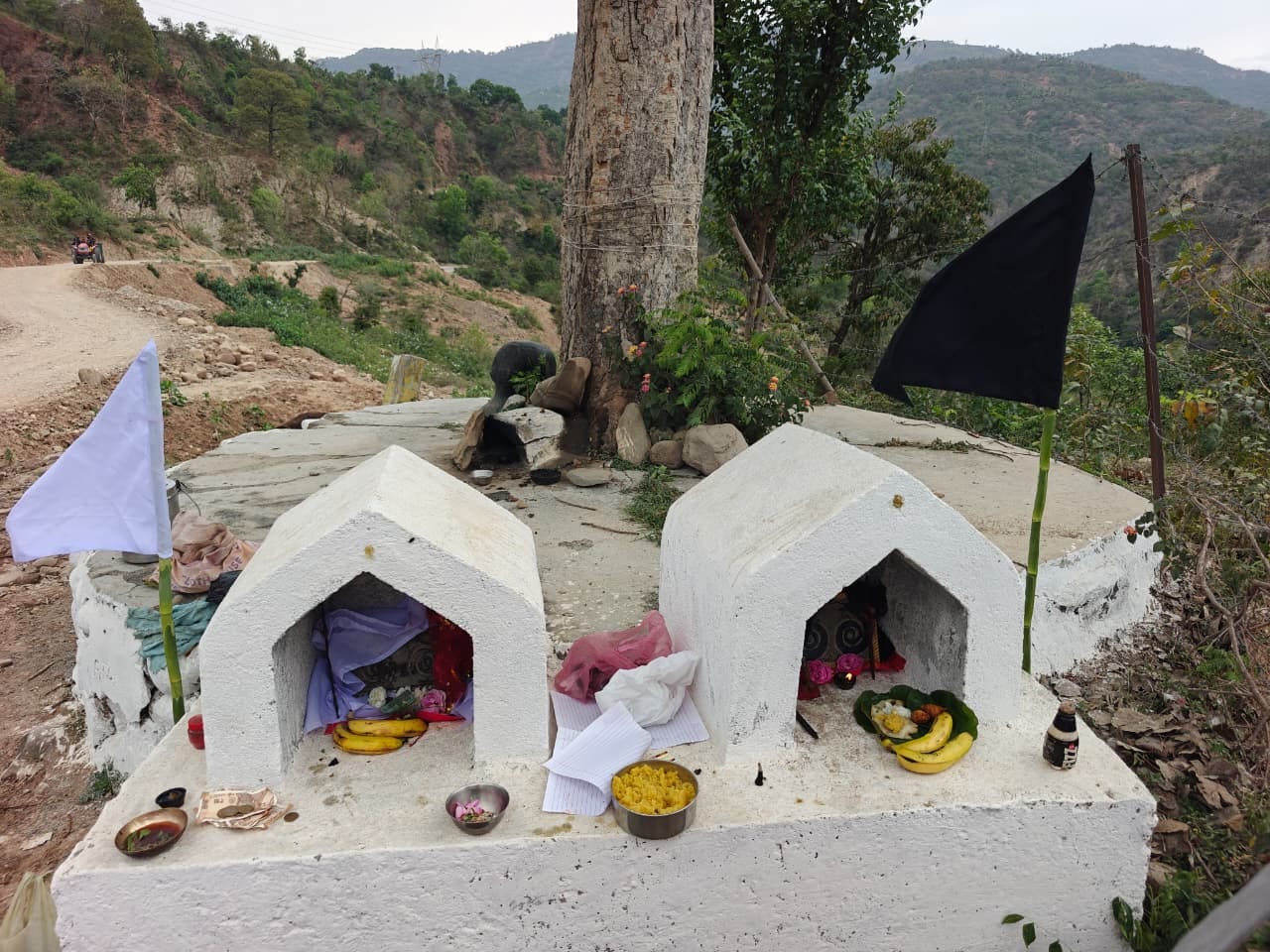 बसोहली के  दन्नी गांव के समीप स्थित नाग देवता का स्थान। संवाद