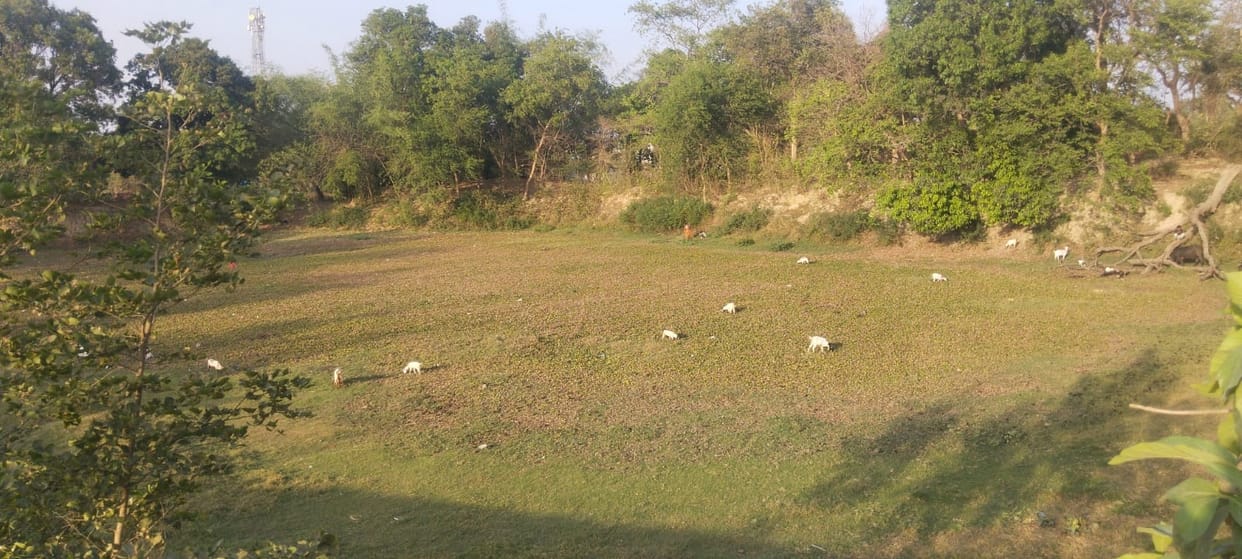 April is over, 241 ponds remain dry