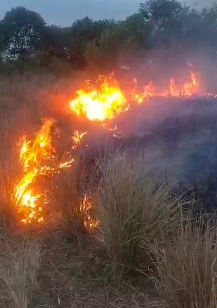 A massive fire engulfed a pasture, burning 100 acres of land, causing a stampede among wildlife, and the fire was brought under control with the efforts of fire brigade and villagers.