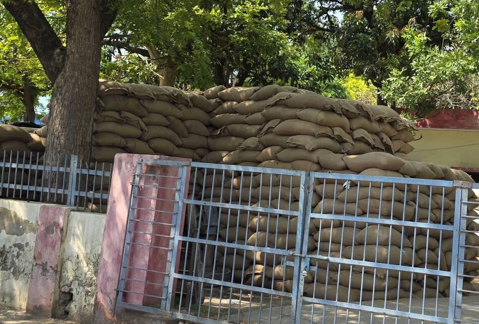 Government wheat gets wet again due to night rain