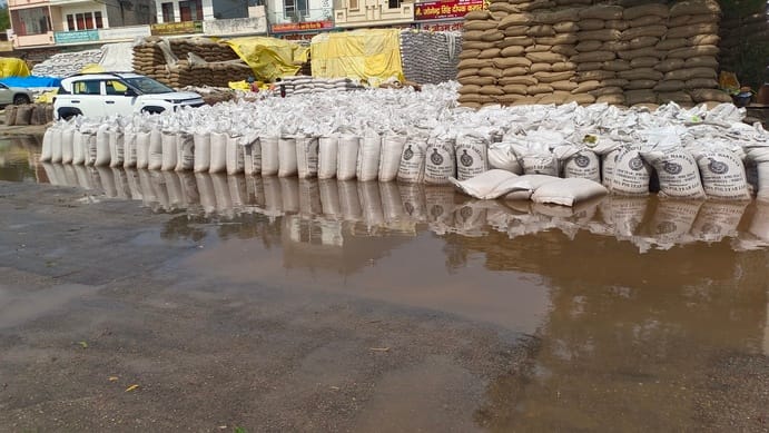 Rain soaks wheat in grain market, chaos exposed