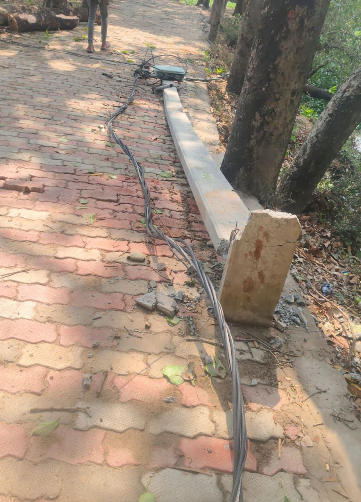 Storm Topples Wires and Poles; Power Supply Cut Off in 50 Villages