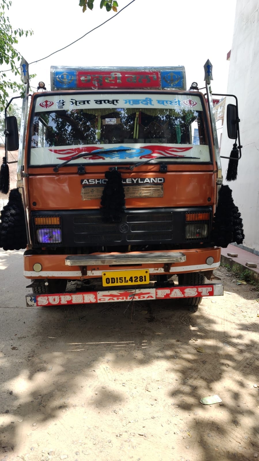 13 Cattle Rescued from Canter with Fake Number Plate