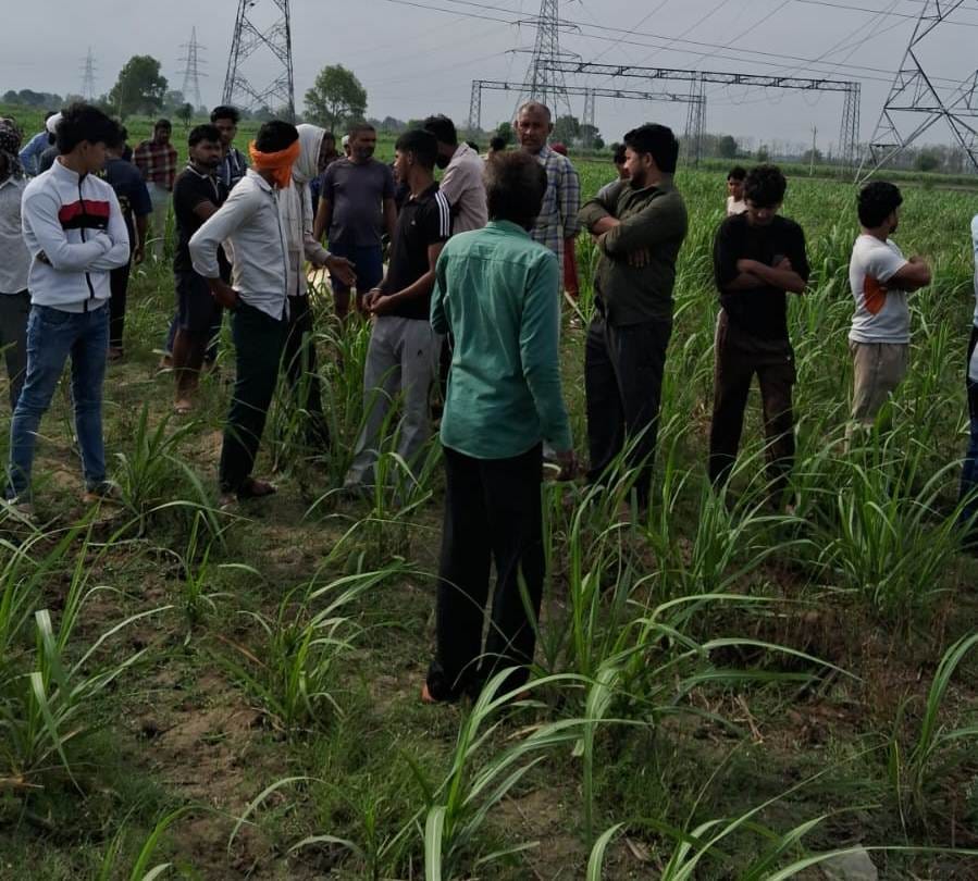 Uproar over cow slaughter in Nandpura, demand for arrest of accused
