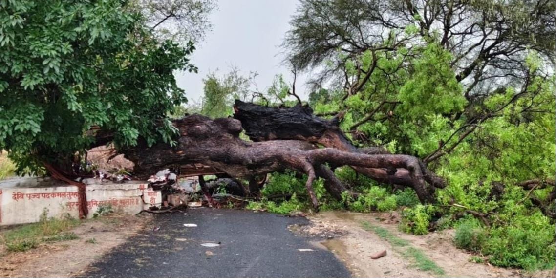 Traffic disrupted due to falling trees and power failure in some places