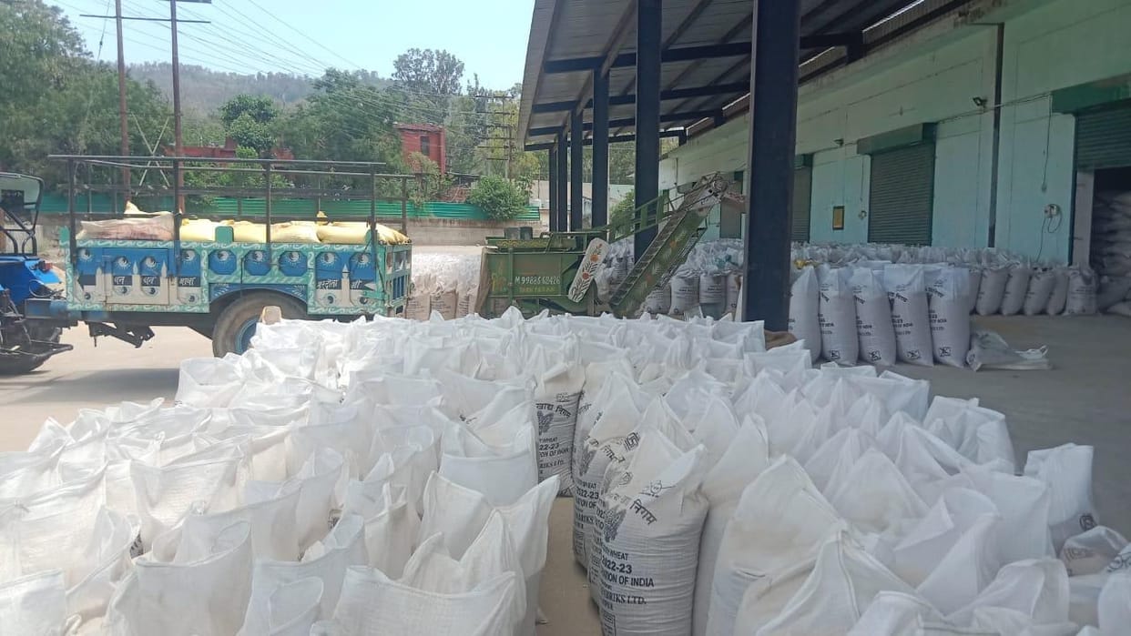 This time, only 135 farmers sold their crops at wheat procurement centers in BBN.