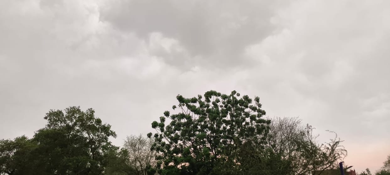 Chances of rain again until May 5, weather will be dry from the seventh, temperature will rise